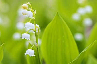 《合金弹头：战略版》再次宣布延期 2024年发售